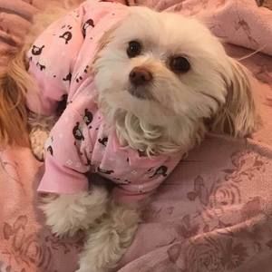 Meet your Posher, Vivian